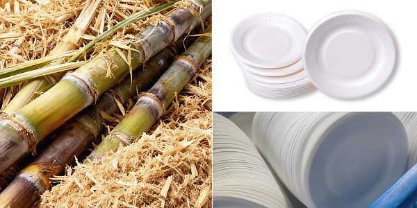 Stack of biodegradable bagasse plates bulk packing for catering. Stack of biodegradable bagasse plates bulk packing for catering.